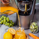 OLIVO SJ189 Premium Slow Juicer - Squeeze Fruits and Vegetables - Make Ice Cream - 10 Years